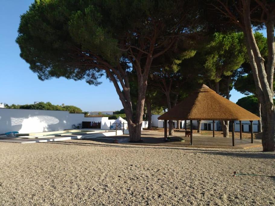 Apartament Cadiz - Ganesha Acogedor En Chiclana De La Frontera, Espana