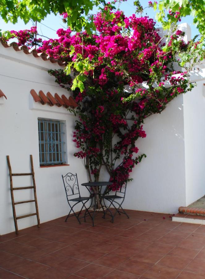 Apartment Cadiz - Ganesha Acogedor En Chiclana De La Frontera, Espana Chiclana de la Frontera